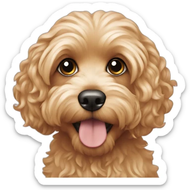 Blonde cavapoo sticker