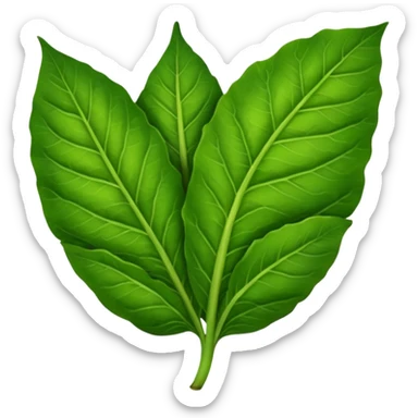 Tobacco leaf sticker