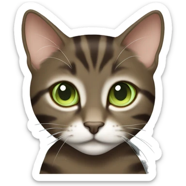 Dark brown female European tabby kitty with light green eyes  sticker