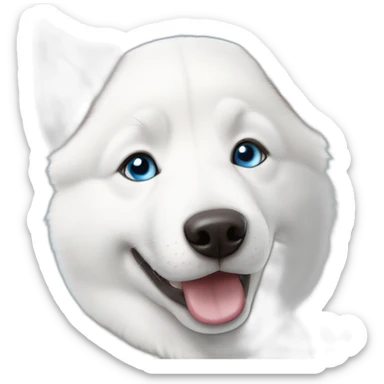 Young White Siberian husky smile  blue eyes sticker