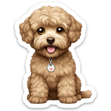 Brown maltipoo  sticker