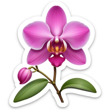 Orquídea rosada sticker