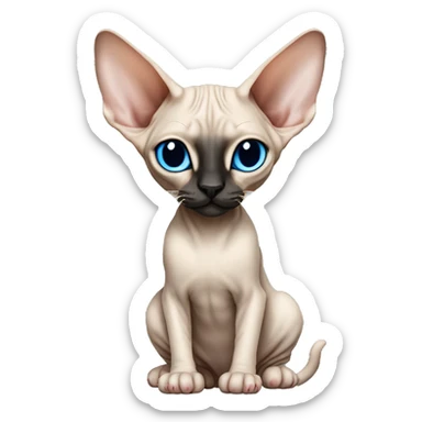 Siamese Sphynx Peterbald  cat with blue eyes, full thin body stand, black nose ears and tail sticker