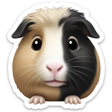 beige and black guinea pig sticker