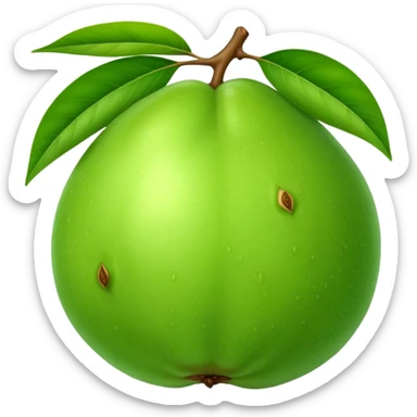 A whole green guava fruit with a smooth skin sticker