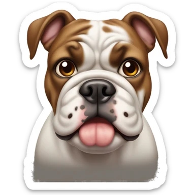 old tyme bulldog with half white half brown face and brown eyes sticker