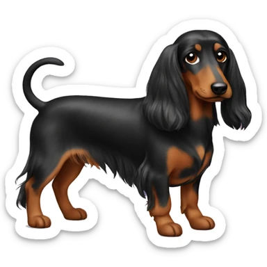 Teckel with long hair sticker