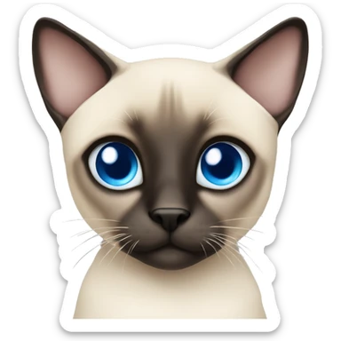  adorable Siamese blue eyes, cross eyed sticker
