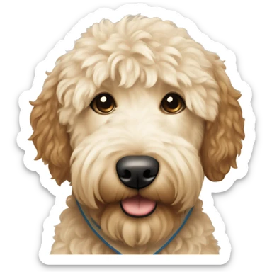 Cream colored with brown Goldendoodle wearing a bandana sticker