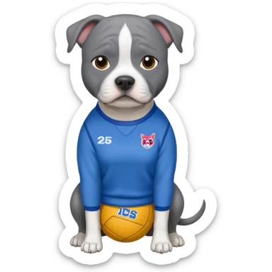 Blue English staffy wearing a netball fever team jumper sticker