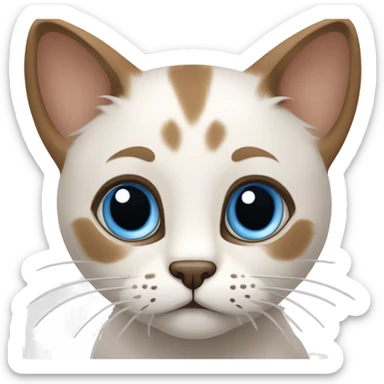 illustration of a cat with large, expressive blue eyes with light brown fur with dark brown markings on the muzzle, ears and paws, 😅, sweating, nervous sticker