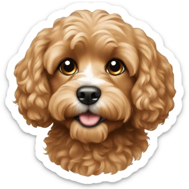 cavapoo sticker