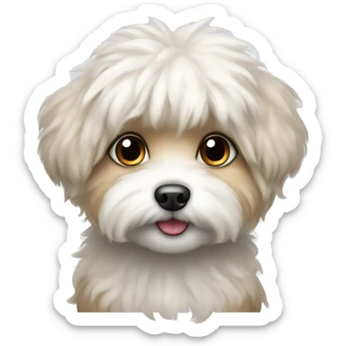 The image shows a cute illustration of a small fluffy dog ​​.Maltipu sticker