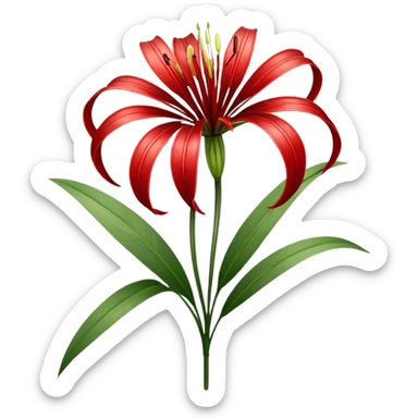 wilting red spider lily  sticker