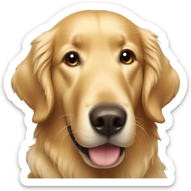 Golden retriever smiling sticker