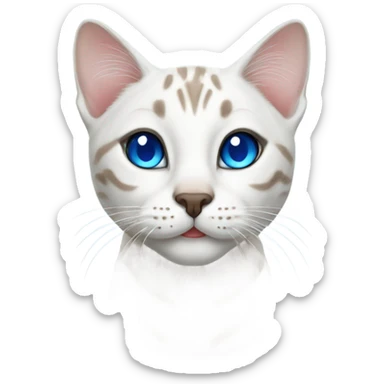 white bengal cat with blue eyes  sticker