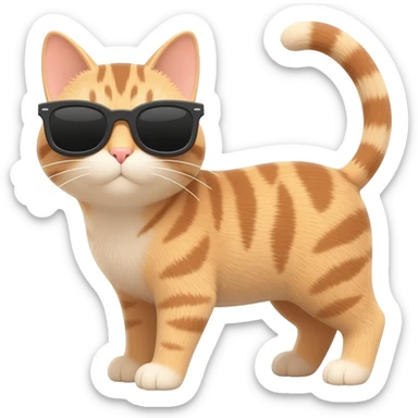 Cat wearing sunglasses sticker