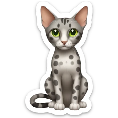 Short-haired oriental cat ,full body , grey coat with spots , green eyes , terracotta nuzzle sticker