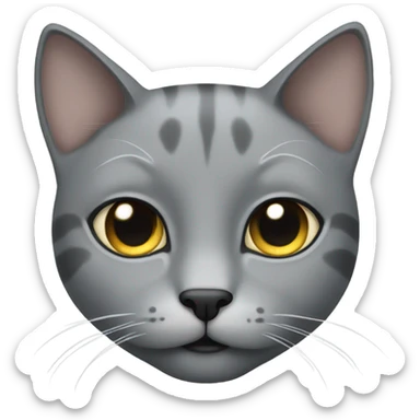 Gray cat with black eye sticker