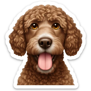 Brown Spanish water dog  sticker