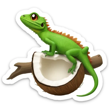 Lizard with coconut sticker