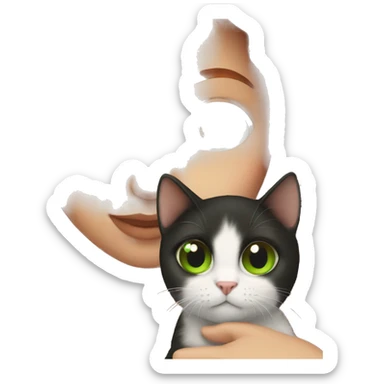 red hair and brown eyes girl holding green eyes black cat sticker