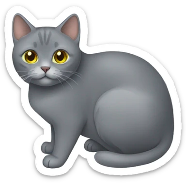 A chartreux cat  sticker