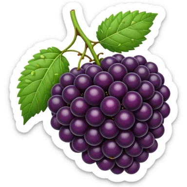 Blackberry sticker