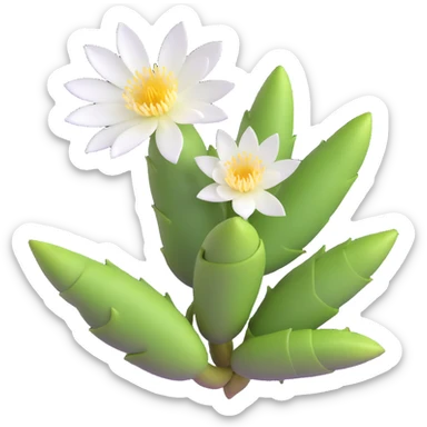 beautiful blooming epiphyllum flower with white petals sticker