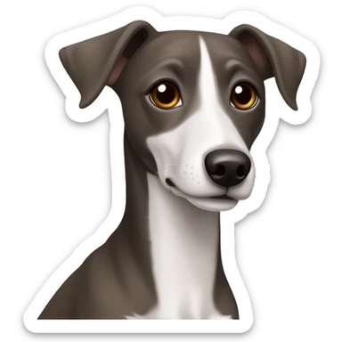Dark Grey brown Formosa mountain dog and Italian greyhound mix no white on the face, dark brown eyes, ears up sticker
