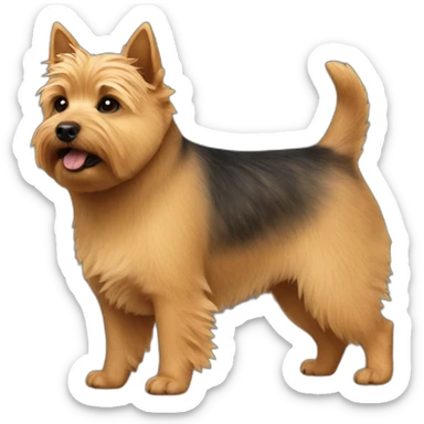 Norwich terrier sticker
