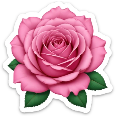 “A Polaroid photo of a pink rose  sticker