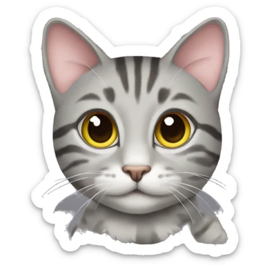 gray tabby cat with a spring sticker