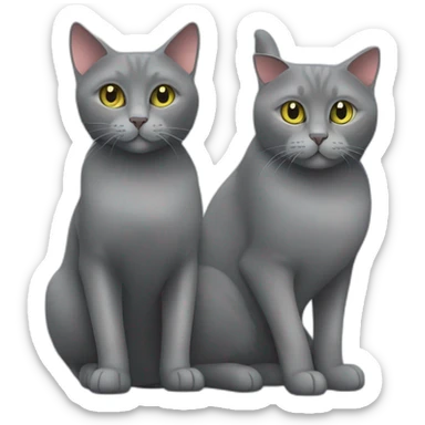 A chartreux cat and a European cat together  sticker
