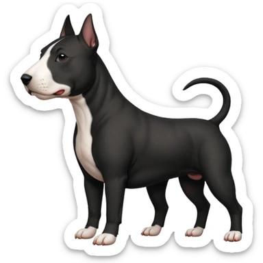 Black bull terrier sticker