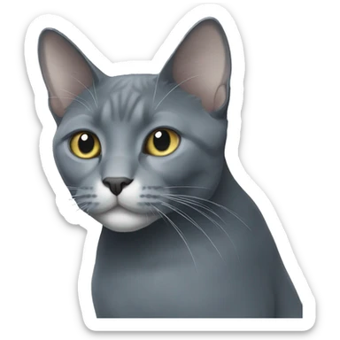 Tall large russian blue cat with white patch of hair on chest sticker