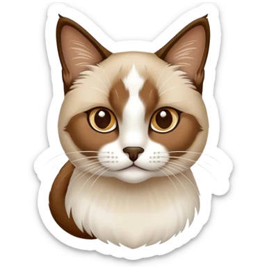 Snowshoe cat sticker