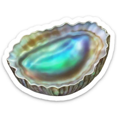 abalone shell sticker