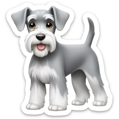 Miniature schnauzer grey and white  sticker