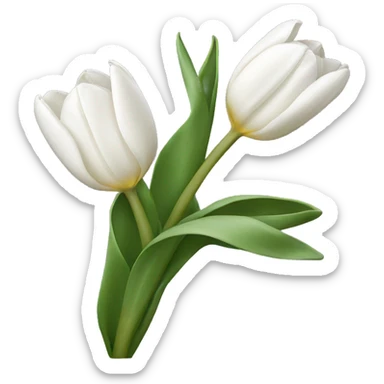White tulips  sticker