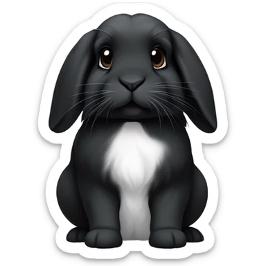 black holland lop bunny (portrait, facing forward, iOS 17 style, happy) sticker