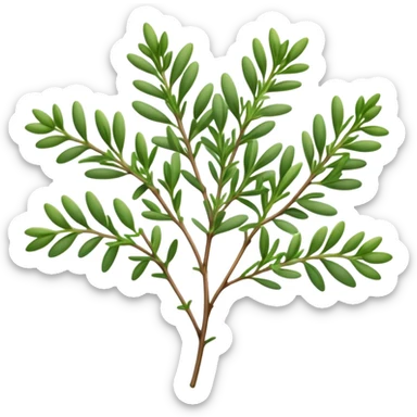 Cinematic Realistic Thyme Emoji, Compact and earthy, with tiny green leaves densely packed on delicate stems. The soft fragrance of the leaves fills the air, creating an atmosphere of warmth and subtle richness. Soft glowing outline, capturing the essence of simplicity and natural healing in a sprig of thyme! sticker