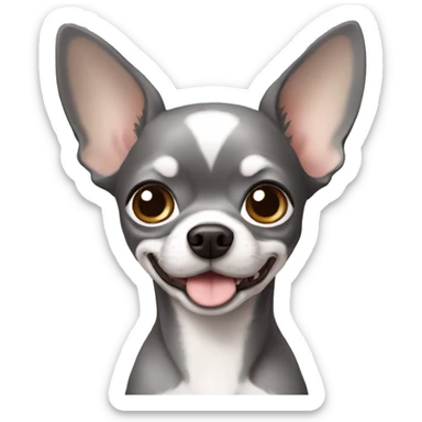 dog grey Chihuahua sticker