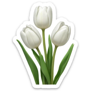 white tulips sticker
