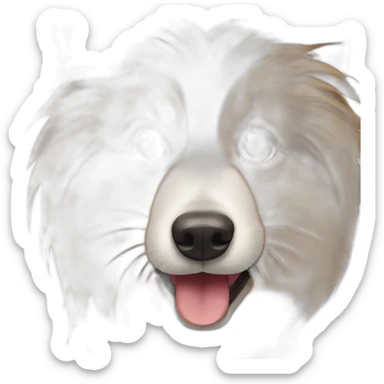 Tricolor Shetland sheepdog wearing chirurgical mask on mouth sticker