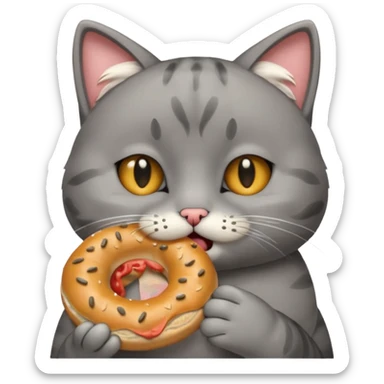 Ağlayan üzgün simit yiyen kedi sticker