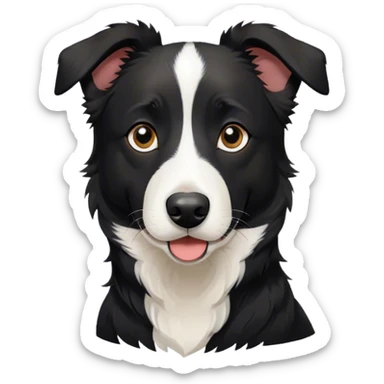 Short haired black border collie mix all black with white on nose sticker