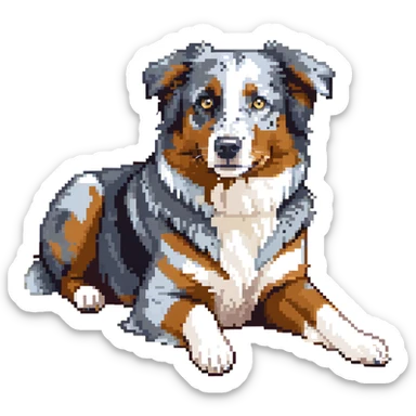 Merle Australian Shepherd dog laying down, blue merle coat, relaxed sticker