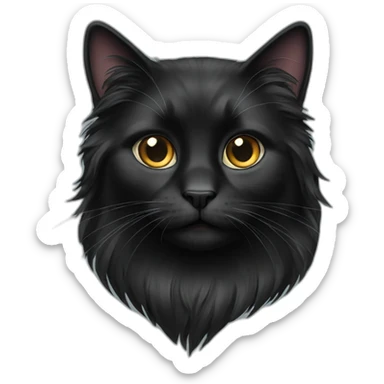 Black long haired cat sticker