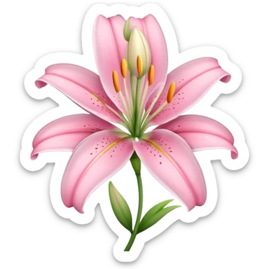 Lily flower pink sticker